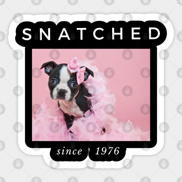 1976 Millennial Snatched Boston Terrier Dog Lover Sticker by familycuteycom